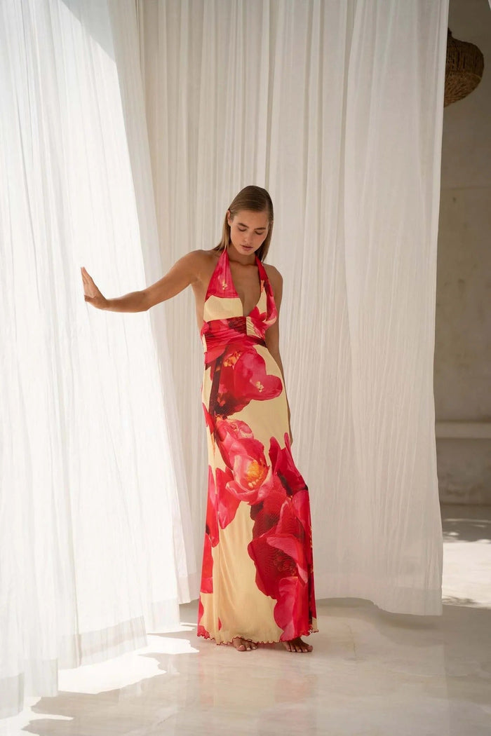Camoni - Vestido Maxi com Estampa de Poás para Mulher